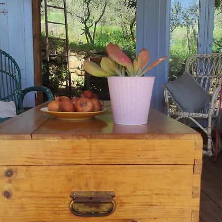 B&B La Casina Di Iris Arezzo Zewnętrze zdjęcie