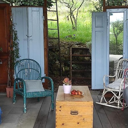 B&B La Casina Di Iris Arezzo Zewnętrze zdjęcie