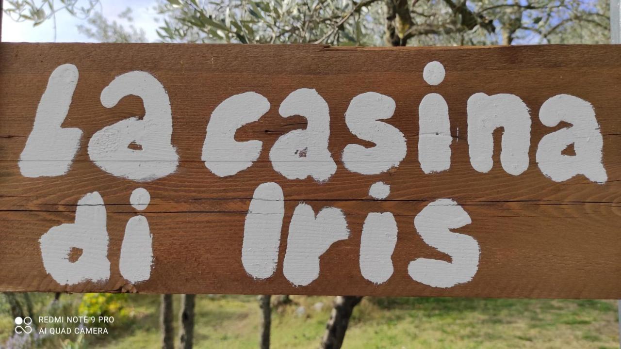 B&B La Casina Di Iris Arezzo Zewnętrze zdjęcie
