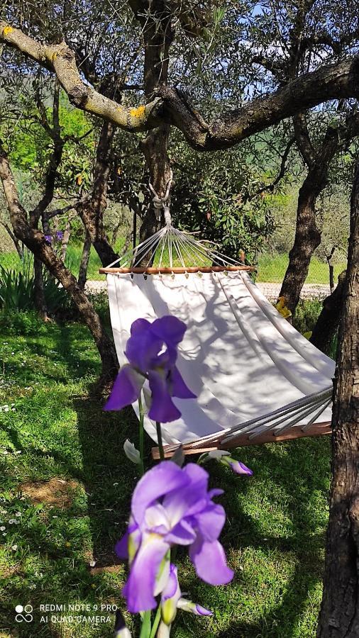 B&B La Casina Di Iris Arezzo Zewnętrze zdjęcie