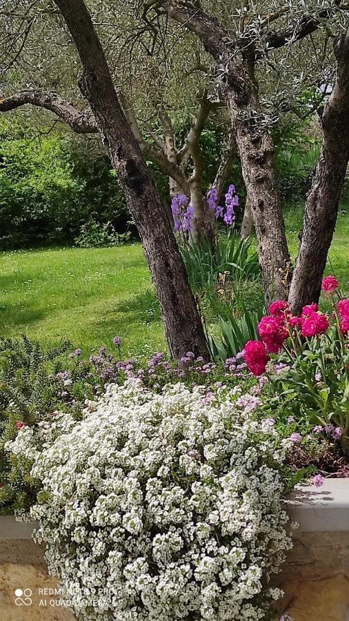 B&B La Casina Di Iris Arezzo Zewnętrze zdjęcie