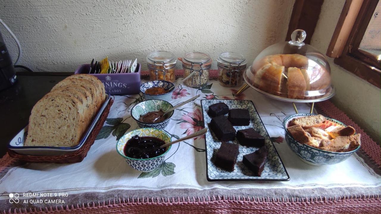B&B La Casina Di Iris Arezzo Zewnętrze zdjęcie