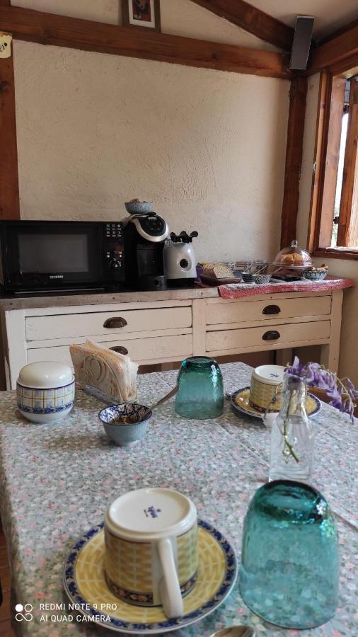 B&B La Casina Di Iris Arezzo Zewnętrze zdjęcie