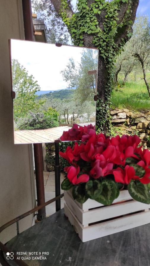 B&B La Casina Di Iris Arezzo Zewnętrze zdjęcie