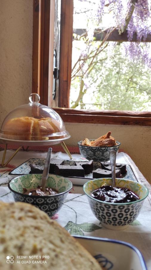 B&B La Casina Di Iris Arezzo Zewnętrze zdjęcie
