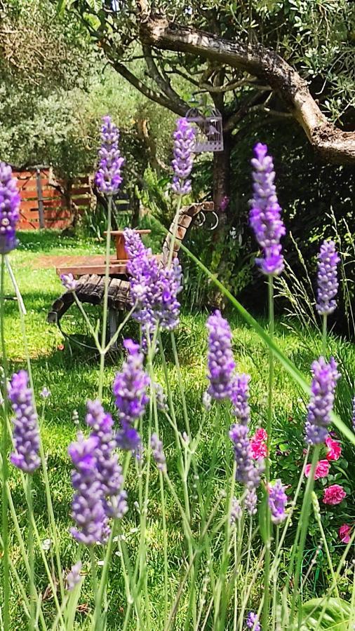 B&B La Casina Di Iris Arezzo Zewnętrze zdjęcie