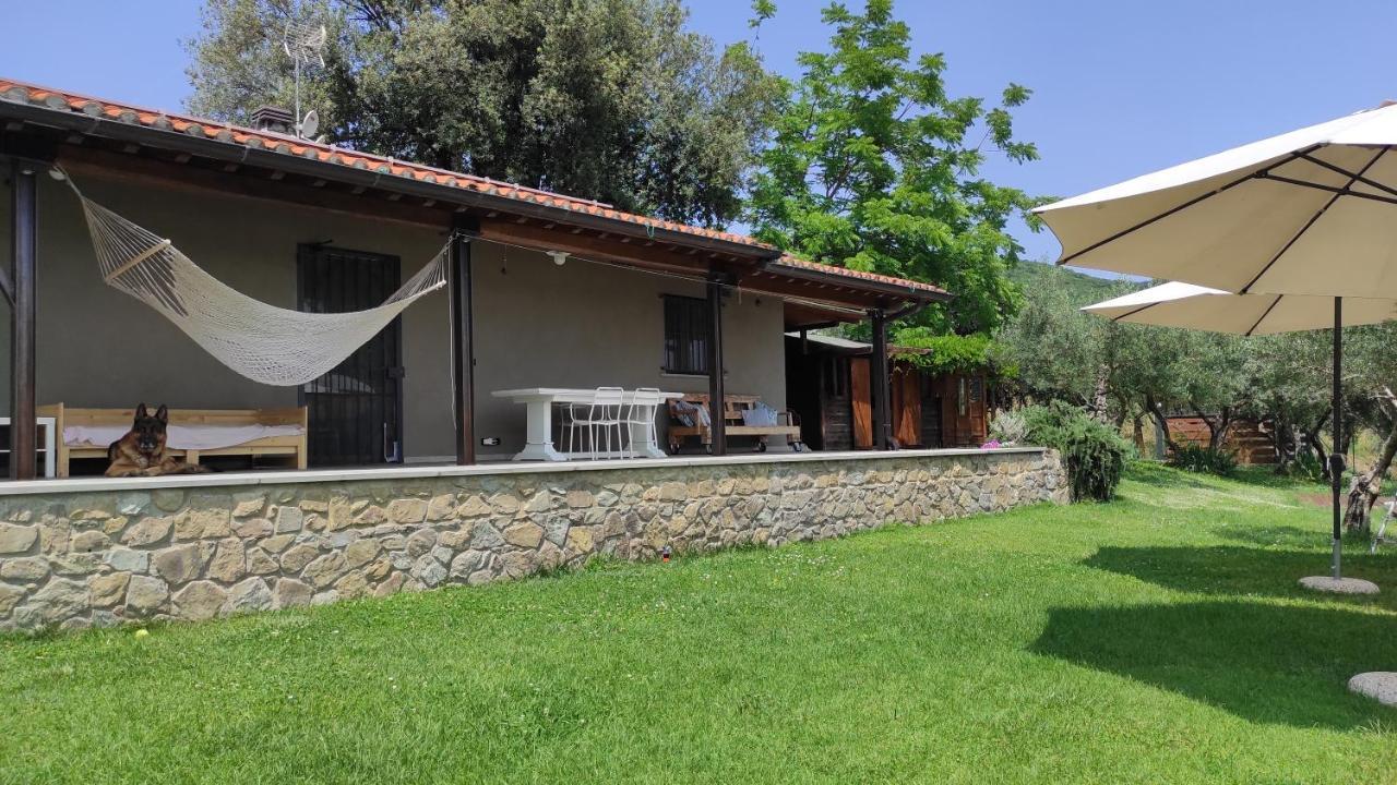B&B La Casina Di Iris Arezzo Zewnętrze zdjęcie