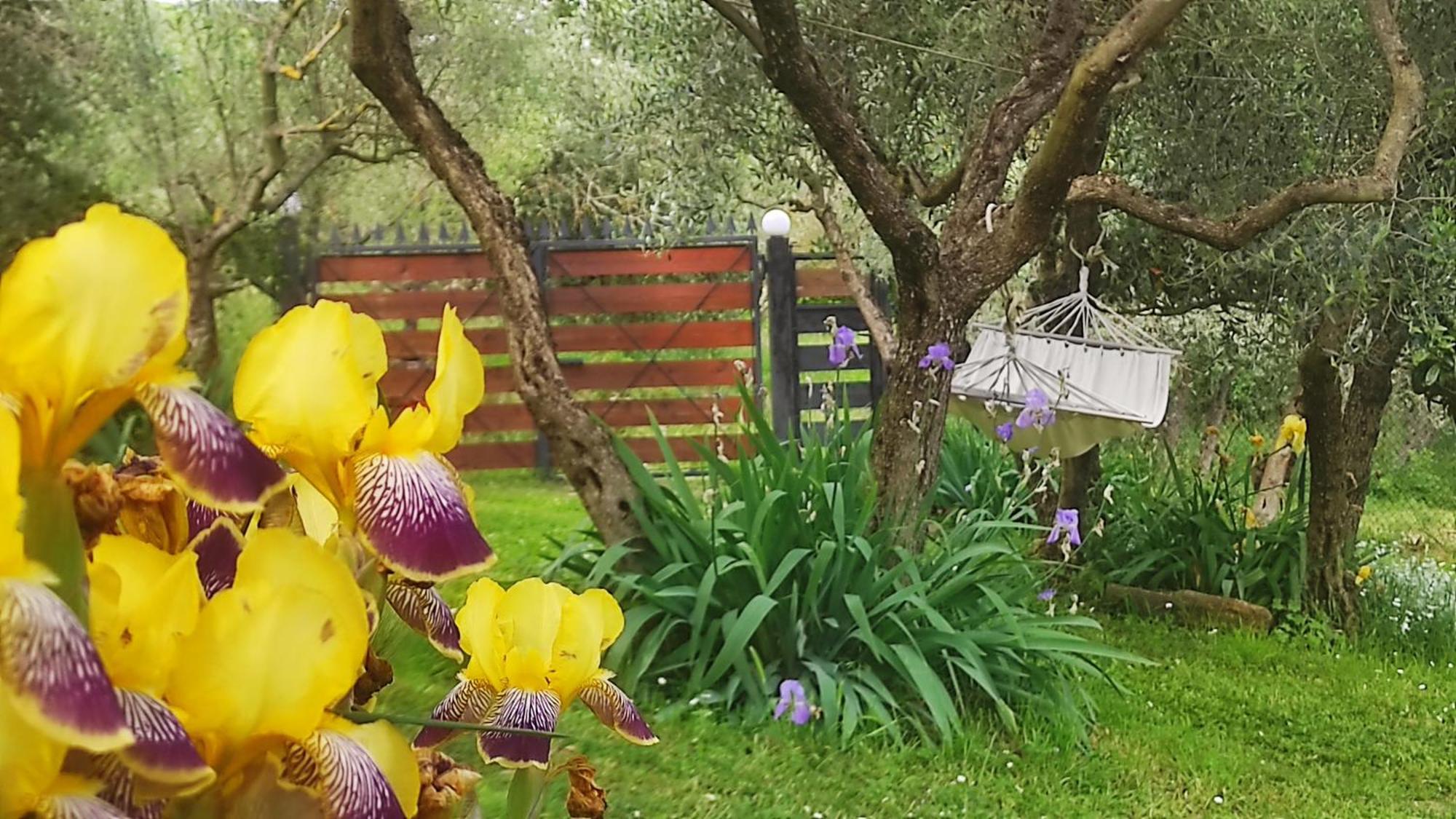 B&B La Casina Di Iris Arezzo Zewnętrze zdjęcie